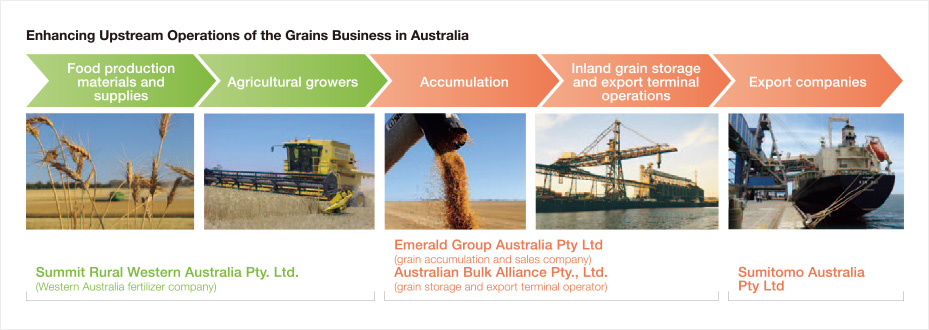 Enhancing Upstream Operations of the Grains Business in Australia