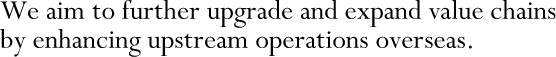 We aim to further upgrade and expand value chains by enhancing upstream operations overseas.