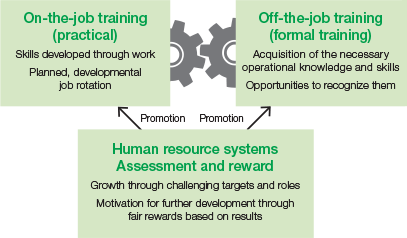 Concept Diagram of Development of “The Human Resources We Seek”