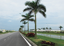 Thang Long Industrial Park II in Vietnam