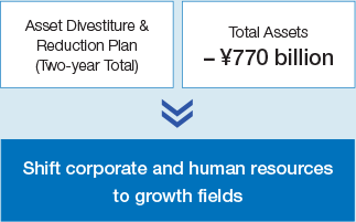 Asset Divestiture & Reduction Plan